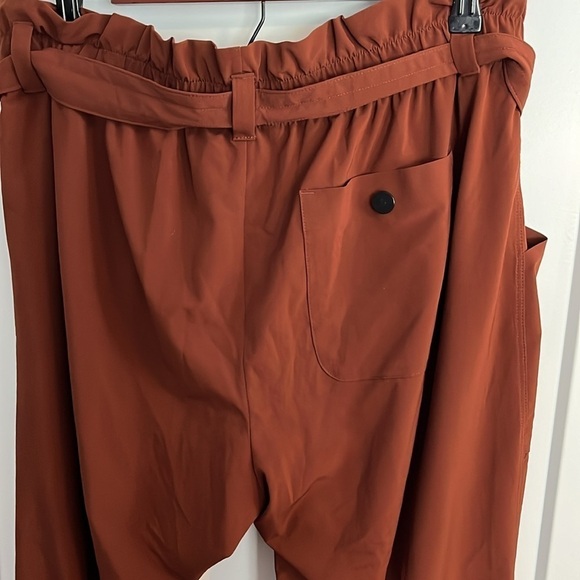 ATHLETA Skyline Rust Color Stretch Belted Casual Pull-on Ankle Pants Size 12 - Picture 9 of 15